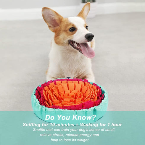 Vivifying Snuffle Mat for Dogs, Interactive Sniff Mat for Slow Eating and Mental Stimulation