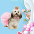 Dog Tutu Skirt, Birthday Party Supplies with Pink Bowtie and Crown Hat for Dog Princess Costume