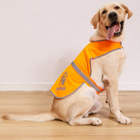 High Visibility Reflective Dog Vest, Safety Vest for Walking, Jogging, or Training, Size L