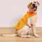 High Visibility Reflective Dog Vest, Safety Vest for Walking, Jogging, or Training, Size L