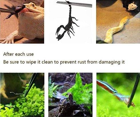 2Pcs 10.5" Reptile Stainless Steel Long Tweezers - Feeding Tongs for Lizards, Snake, Gecko, Tarantula Supplies