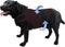 Dog Calming Shirt for Anxiety - Skin-Friendly Coat for Thunder, Fireworks, and Separation (Dark Brown, M) - Keep Pet