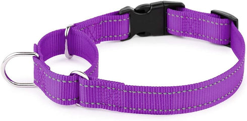 PLUTUS PET Reflective Martingale Collar with Quick Snap Buckle, No Pull Choker for Small Medium Large Dogs, L, Purple