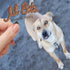 Lil' Bitz Training Treats for Dogs and Cats, 1 Pack, Hickory Smoked Beef