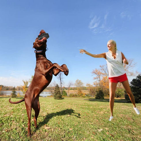 Dog Chew Toys for Aggressive Chewers, Non-Toxic Dental Pet Toy, Durable Indestructible for Small Medium Large Dogs
