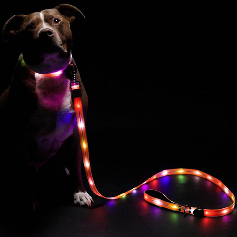 LED Dog Leash for Safe Evening Walks, High Visibility Light Up Leash, 6 Foot New Version for Dogs