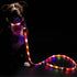 LED Dog Leash for Safe Evening Walks, High Visibility Light Up Leash, 6 Foot New Version for Dogs