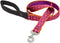 LupinePet Originals 4-foot Padded Handle Leash - 1" Alpen Glow for Medium and Larger Dogs