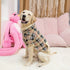 EXPAWLORER Plaid Dog Hoodie - British Style Warm Sweater Shirt with Leash Hole for All Breeds