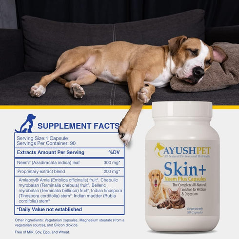 Ayush Pet Skin Plus, Neem Supplement, 90 Capsules for Healthy Skin and Coat