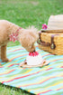 Lionet Paws Dog Collar with Flower, Cute Cotton Adjustable Flower Collar with Metal Buckle for Medium Dog Girl Boy Gift
