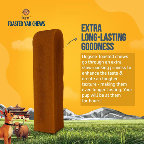 4 Dogsee Toasted Yak Cheese Himalayan Dog Chews (Large- Chews) | Extra Long-Lasting | Double Cooked for Extra Smoky