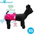 Paw Inspired Washable Reusable Dog Diapers for Female Dogs in Heat, Cloth Diapers (Assorted (White Lining), X-Small, 3