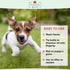 Punkin Butt Puppy Teething Oil to Stop Chewing and Relieve Discomfort | All Natural, 2 oz
