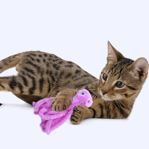 cunueae Plush Toys for Cats to Chew On, Catnip for Kittens' Self-Entertainment, Interactive Fun for Cats During