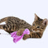 cunueae Plush Toys for Cats to Chew On, Catnip for Kittens' Self-Entertainment, Interactive Fun for Cats During