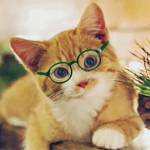Retro Clear Lens Pet Dog Glasses, Transparent Sun Glasses for Small Dogs and Cats, Cosplay Accessories (Pink)
