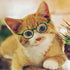 Retro Clear Lens Pet Dog Glasses, Transparent Sun Glasses for Small Dogs and Cats, Cosplay Accessories (Pink)
