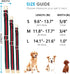 Premium Dog Collar, Luxury Style Durable Pet Collars with Metal Buckle Safety for Big Dogs