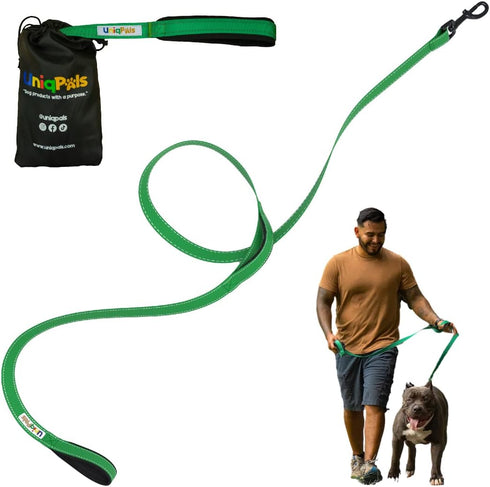 Heavy Duty 6ft Dog Leash with Padded Double Handles for Training & Walking, Reflective Stitching