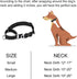 Martingale Dog Collar with Reflective Nylon, Soft Cushion and Alloy Buckle for Small, Medium, and Large Dogs (Small,