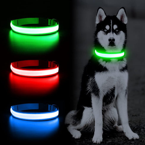 YFbrite Ultra Light Adjustable LED Dog Collar, Rechargeable Glowing in The Dark for Small, Medium, Large Dogs (Green,
