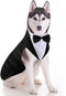 Weewooday Large Dog Tuxedo and Bandana Set, Formal Wedding Party Suit with Bow Tie Shirt for Christmas Halloween