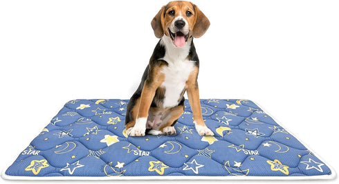 Dog Crate Mat, Ultra Soft Bed Mat with Anti-Slip Bottom, Washable Kennel Pad for Large Medium Small Dogs (36" X 23")