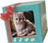 Faygeal Interaction Robotic Plush Cats Toy with Intelligence Sensors and Traction Rope for Craw Learning Lovely Comfort