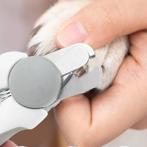 Pet Nail Clipper - Grooming Tool for Dogs and Cats - Safety Guard and Razor Sharp Blade - Bonus Nail File (Gray)