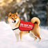 JXGZSO Nervous Dog Vest, Anxious Dog Slogan Warning Jacket, Do Not Pet, No Hand Sniffs, Size L