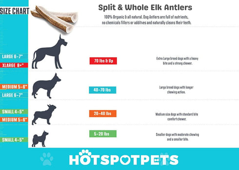 hotspot pets Split Elk Antlers for Dogs X-Large 8+ Inches- Premium Elk Antlers for Dogs 50+Lbs (2 Pack) Naturally Shed