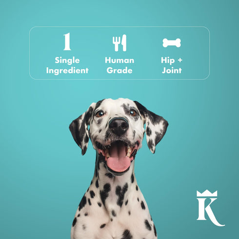 1 lb King Lou Pets - Chicken Breast Jerky for Dogs - USA-Made Dehydrated Chicken Dog Treats - Fresh Breast Prior