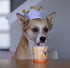Pack, 4 4.65 oz Puppy Scoops Dog Ice Cream Mix Variety Flavors, Each Just Add Water and Freeze at Home, Powder Mix