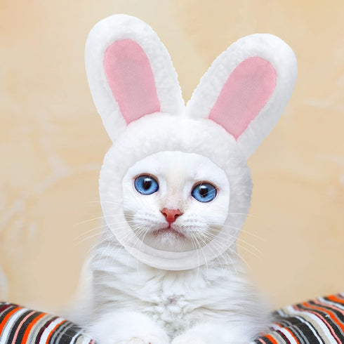 5 Pcs Cat Hat - Adorable Costume Bunny Hat with Ears for Cats and Small Dogs, Party Accessory Headwear