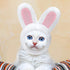 5 Pcs Cat Hat - Adorable Costume Bunny Hat with Ears for Cats and Small Dogs, Party Accessory Headwear