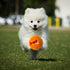 Hank & Harley Dog Toy Treat Ball - Food & Treat Dispensing, Fetching and Chewing Toys, Durable, Dishwasher Safe (Ball)