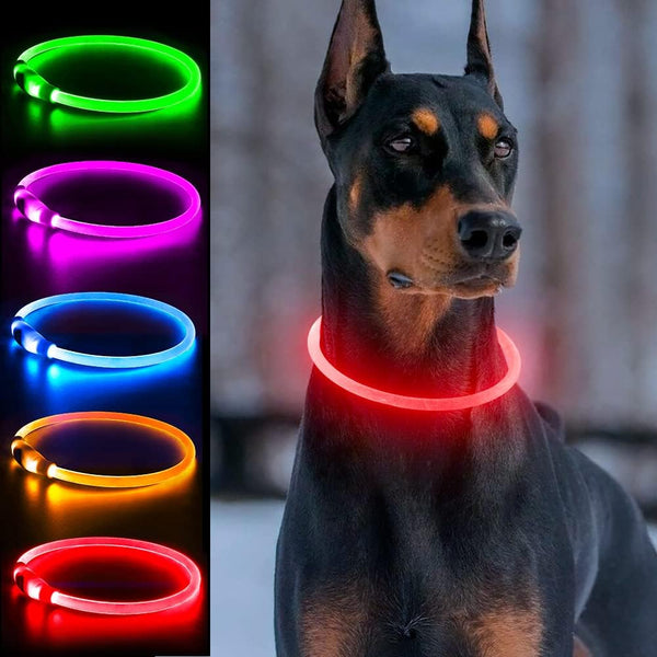 Light Up Dog Collars, USB Rechargeable Dlitk LED Glow Collar for Large Medium Small Dogs, TPU Cuttable Size, Red