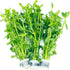 Generic Bacopa Monnieri (3-Count) Live Freshwater Aquarium Stem Plant | Hardy, Versatile, Fast-Growing