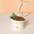 Cute Ceramic Raised Cat Bowls Elevated Design, 15° Tilted FeederProtect Cat's Spine Anti Vomiting Blow for Flat Faced Cats, Kitten Small Dogs,Raise Tilted Cat Food Bowld Pet Dishes(Blue)