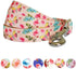 Blueberry Pet 9 Patterns Durable Spring Scent Inspired Rose and Butterfly Print Dog Leash 4 ft x 1", Large, Pastel Pink