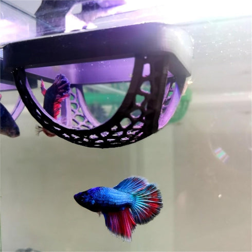 Bingche 2pcs 3-in-1 Hammock Aquarium Floating Cave Fish Shrimp Hideout Shelter Feeding Ring and Resting Spot(Black)