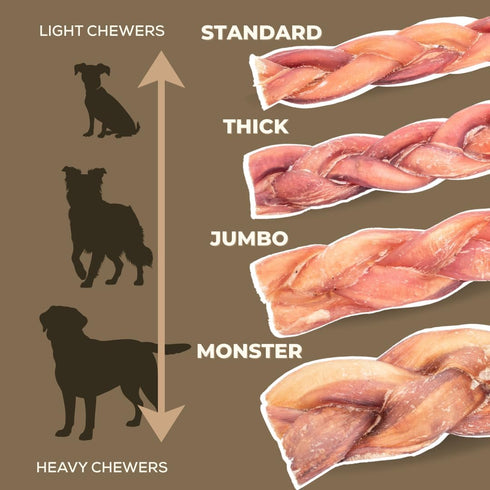 6" 10 Bully Bunches All Natural Standard Braided Bully Sticks - Odour Free, Rawhide Free, Chemical Free - Safe, Long