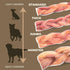 6" 10 Bully Bunches All Natural Standard Braided Bully Sticks - Odour Free, Rawhide Free, Chemical Free - Safe, Long