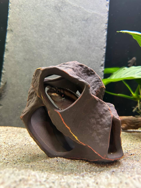 Plecoceramics Aquarium Ceramic Decorations Cave, Betta Stone Decor for Breeding Cichlids Plecos Betta Toys Hideout