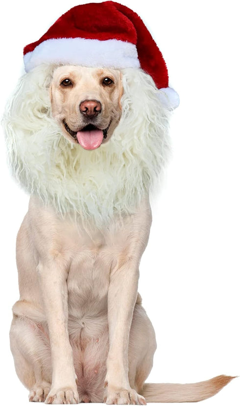 Funny Pet Reindeer Moose Costumes for Dog, Cute Furry Pet Wig for Halloween Christmas, Pet Clothing Accessories (Santa