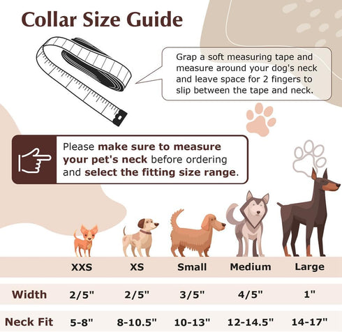 XXS Dog Collar with Bell, Synthetic Leather Basic Cat Collar with Bells for XXS, XS, Small, Medium Pets (Green XXSmall)