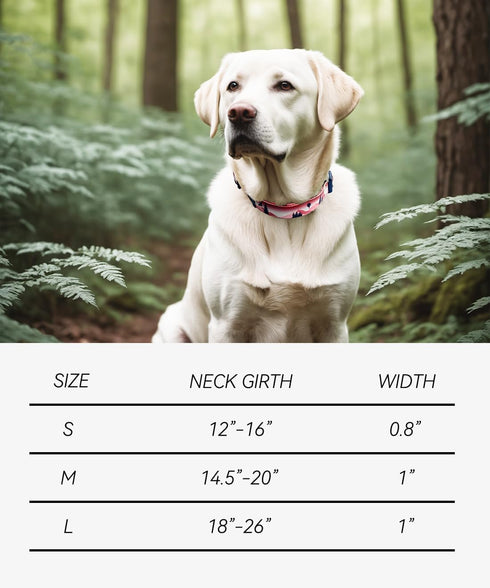 Dog Collar for Medium Dogs, High-end Crafted Adjustable Length with Quick Release Buckle, Unique Design, 12-16 inches