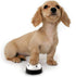Set 2 2 Pack Comsmart Dog Training Bell, of Dog Puppy Pet Potty Training Bells, Dog Cat Door Bell Tell Bell