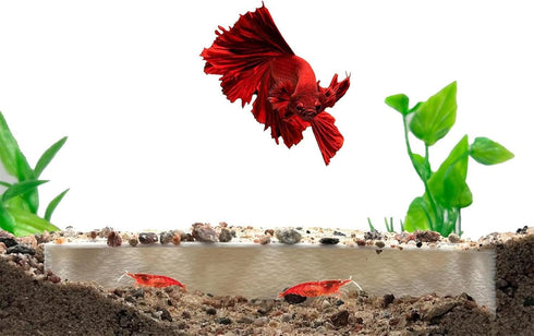 NIHUIFA Shrimp Breeding Cave with Protections Design for Aquarium Fish Tanks Habitat Decoration Trapezoid Shape